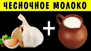 Чесночное молоко. Напиток оздоровит и избавит от множества болезней!