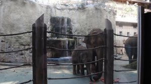 Московский зоопарк. Животные Московского зоопарка. Самый большой зоопарк.