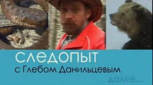 Следопыт с Глебом Данильцевым опасные животные и насекомые в лесу