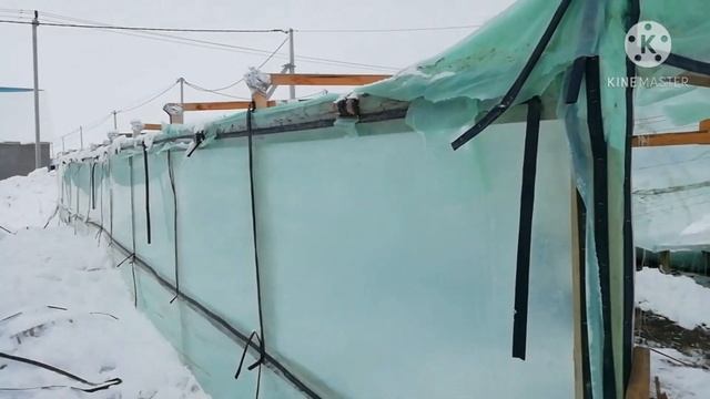 СНЕГОВАЯ НАГРУЗКА / РАЗРУШИЛА ТЕПЛИЦУ смотреть онлайн