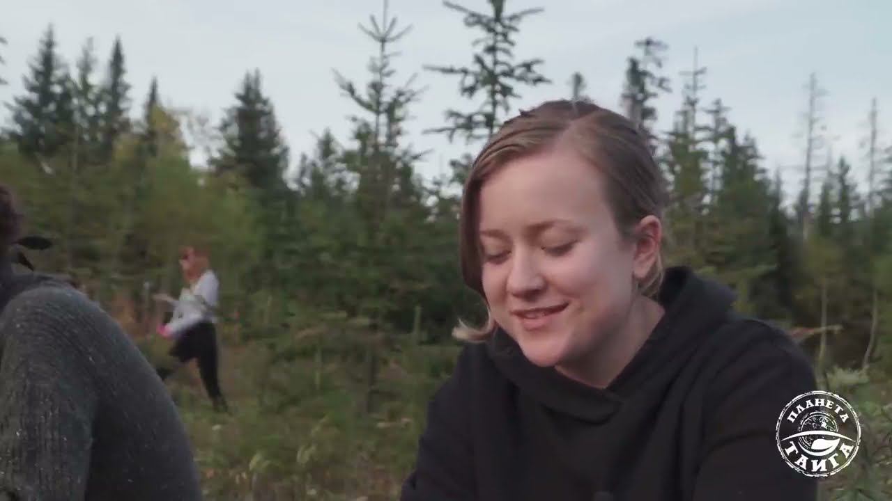 Варварство по закону Санитарные рубки в Хабаровском крае смотреть онлайн