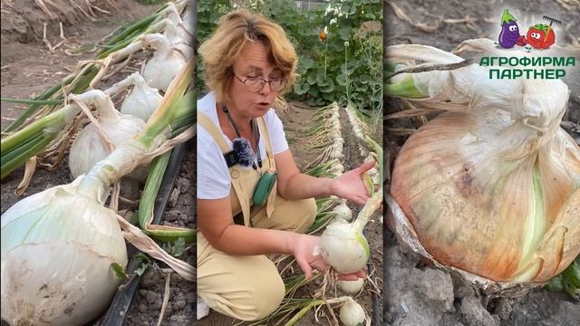 Этот лук вы обязательно должны увидеть смотреть онлайн