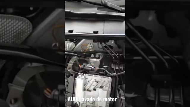 AUDI Lavado de Motor