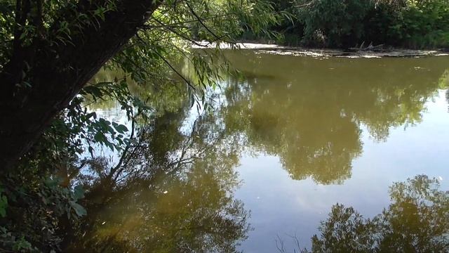 Река протекает в деревне смотреть онлайн