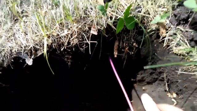 СРАВНЕНИЕ ДВУХ КАТУШЕК ДЛЯ GARRETT ACE 250. смотреть онлайн