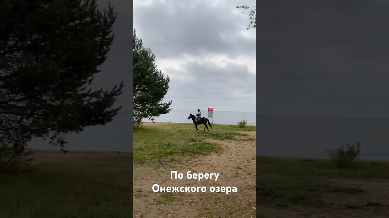 Онежское озеро, верхом на коне) #horse #верховаяезда