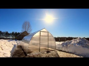 #85. Подарил любимой капельку радости. [Жизнь на своей земле]