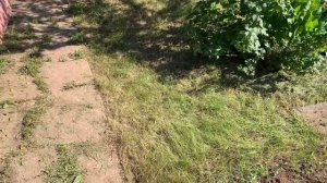 Продолжаем обустраивать дачный участок