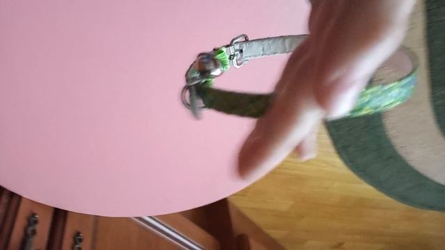 Все вещи моих питомцев Первое видео