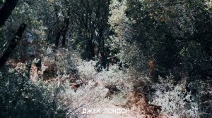 Как 16 социотипов ВЫЖИВАЮТ ?