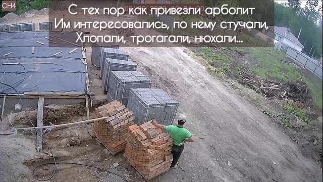 Любопытные соседи. #соседи#дачныйучасток