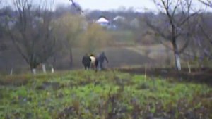 Осенняя вспашка огорода лошадьми.