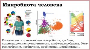 06. Микробиота человека