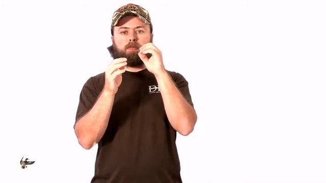 Звук Bouncing Hen от DuckLander смотреть онлайн