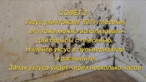 Как убрать плесень