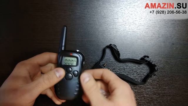 Видео обзор электронного ошейника PET998DR. Как работает электронный ошейник?