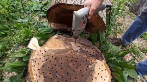 Как удалить пень на участке без корчевания