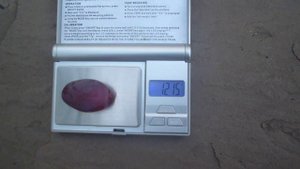 Новая ГФ винограда Ирис.