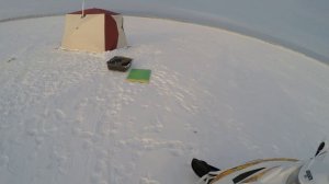 снегоход тайга патруль 551 SWT белый