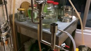 Зеленый солод