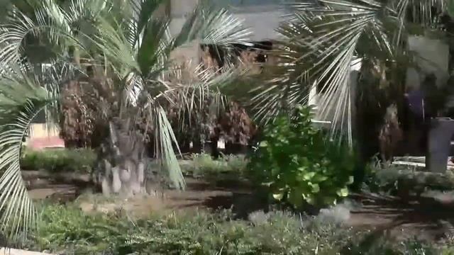 Как купить квартиру в Сочи № 32 Соболевка 2 Остается, только ждать когда достроят. смотреть онлайн