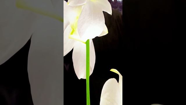 фото печать натяжных потолков смотреть онлайн