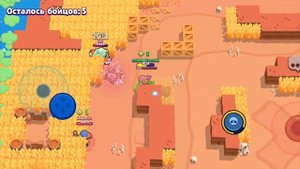 браво Старс