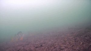 Озеро Чистое( по Курганской трассе)01.04.2023 Focus Fish.