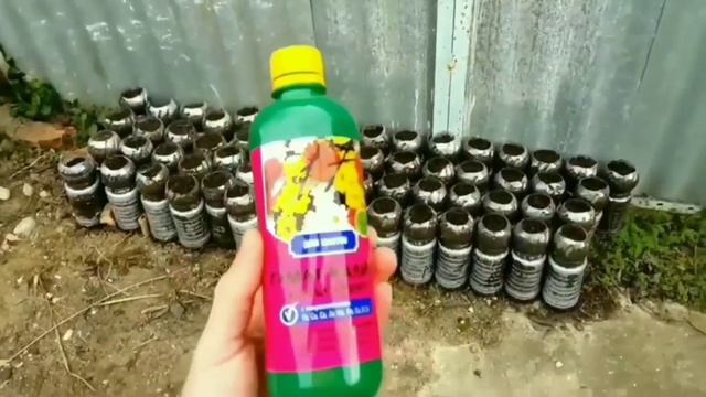 Посадка Дуба (Черешчатого)от А до Я.АР Крым с.Красный-Мак;пас.Балаклава смотреть онлайн