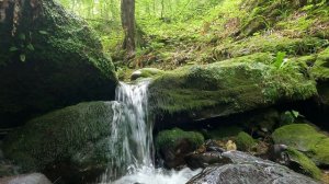 Водопадик. без слов!?ЛАЗАРЕВСКОЕ СЕГОДНЯ?СОЧИ.