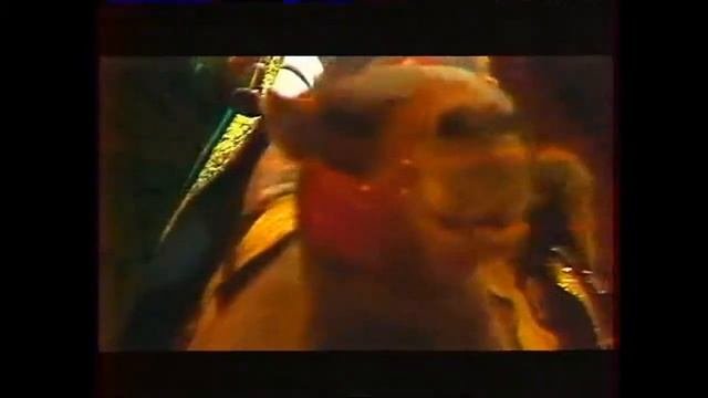 Uralsky Dixieland(Уральский Диксиленд) 