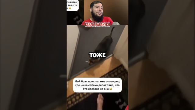 🤣СОЖРАЛА ВЕСЬ МАК😰 #приколы2024 #реакциянаприколы #юмор2024 #реакциянавидео