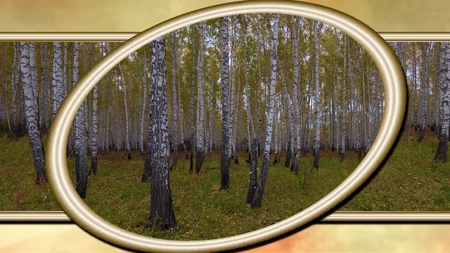 КРАСКИ ОСЕНИ