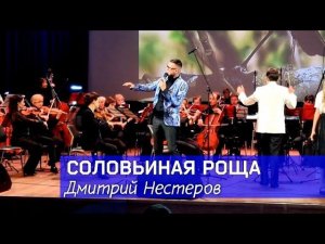 Дмитрий Нестеров - Соловьиная роща / симфонический оркестр / юбилейный вечер Давида Тухманова