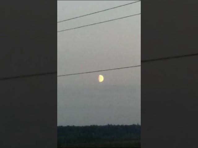 26 сентября 2023 г. смотреть онлайн