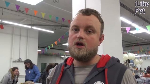 Кролик Русская карликовая ангора на ilikepet. Особенности породы, уход