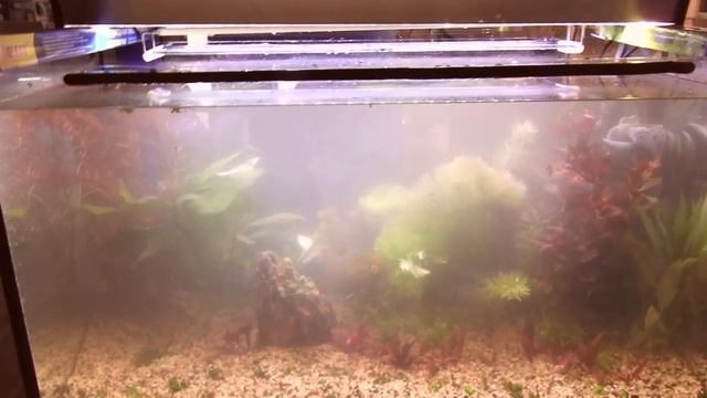 Запускаем травник. Рассаживаем аквариумные растения. смотреть онлайн