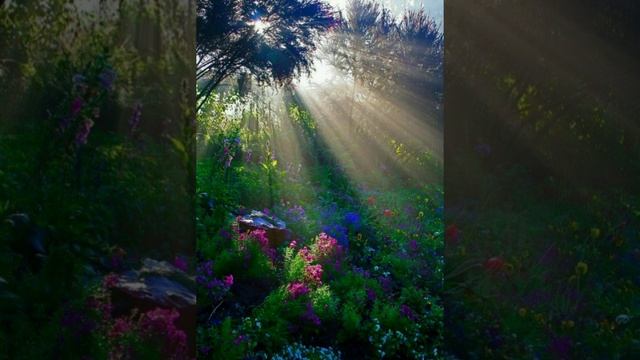 #23апреля - день Терентия смотреть онлайн