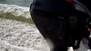 Suzuki DF "9.9"+Progress 2