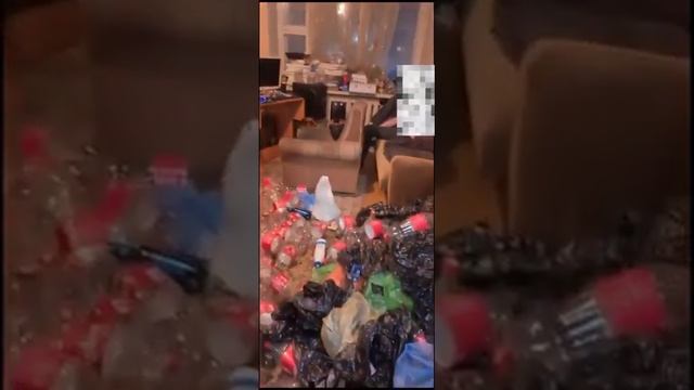 Идеальный квартирант найден
