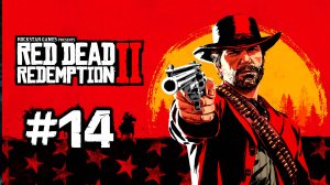 Red Dead Redemption 2 / #14