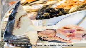 Блюда из акулы: 10 домашних вкусных рецептов