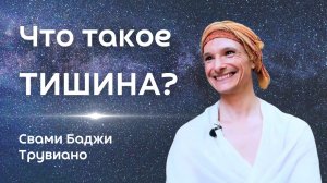 Что такое ТИШИНА и как к ней прийти? Просветлённый мастер Свами (В.Трувиано)