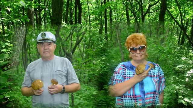 ВЛАДИВОСТОК-ГРИБНОЙ ГОД 2015 смотреть онлайн