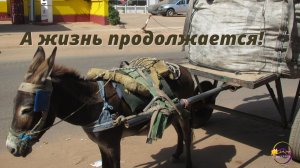 А жизнь продолжается! Красивая песня для души