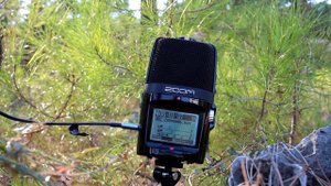 Zoom H2n Recorder Test