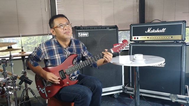 WASHBURN N24 смотреть онлайн