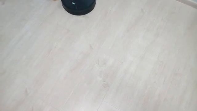 Робот-пылесос Neatsvor x500 Глюки