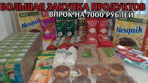 большая закупка продуктов / закупка товаров впрок / цены на продукты