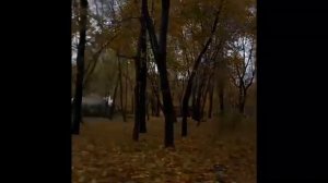 Стихотворение С.А. Есенина "Осень" читает Д. Лабутина, 10Г класс